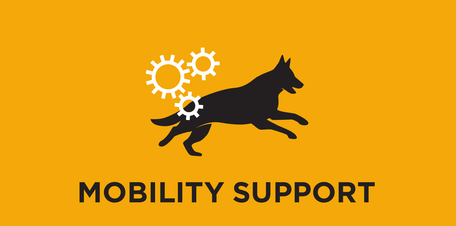 Mobility Support
