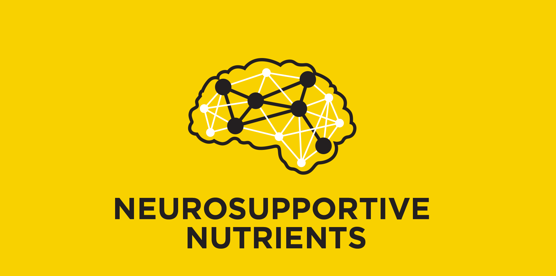 Neurosupportive Nutrients