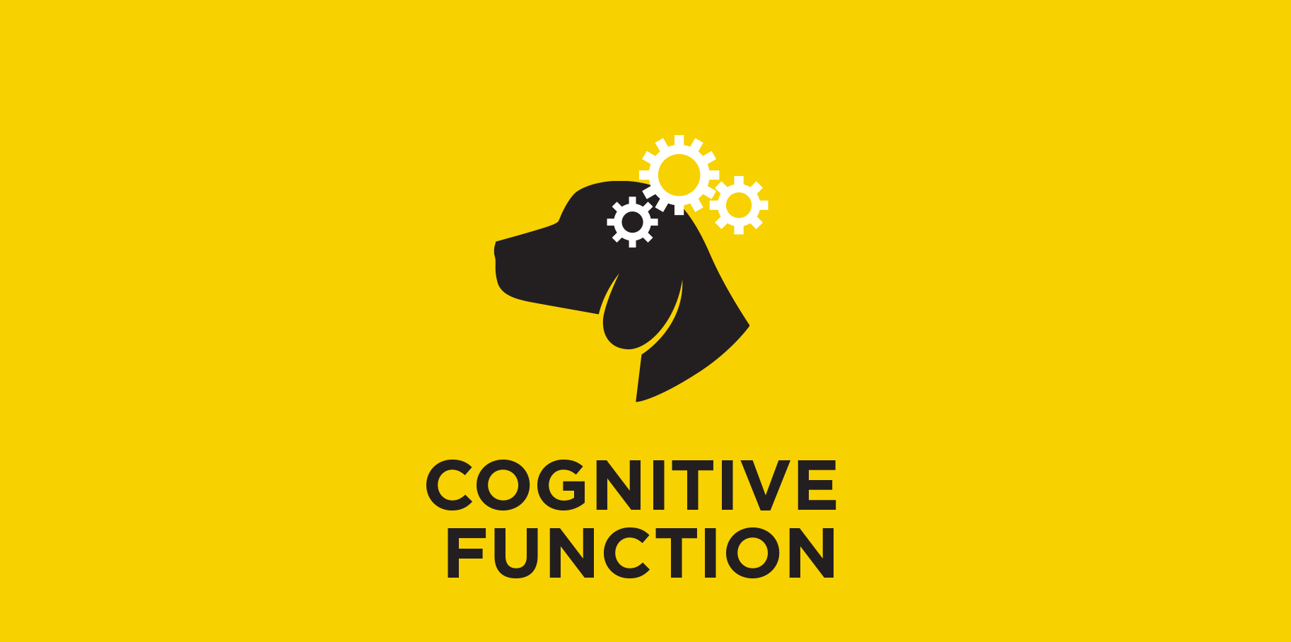 Cognitive Function