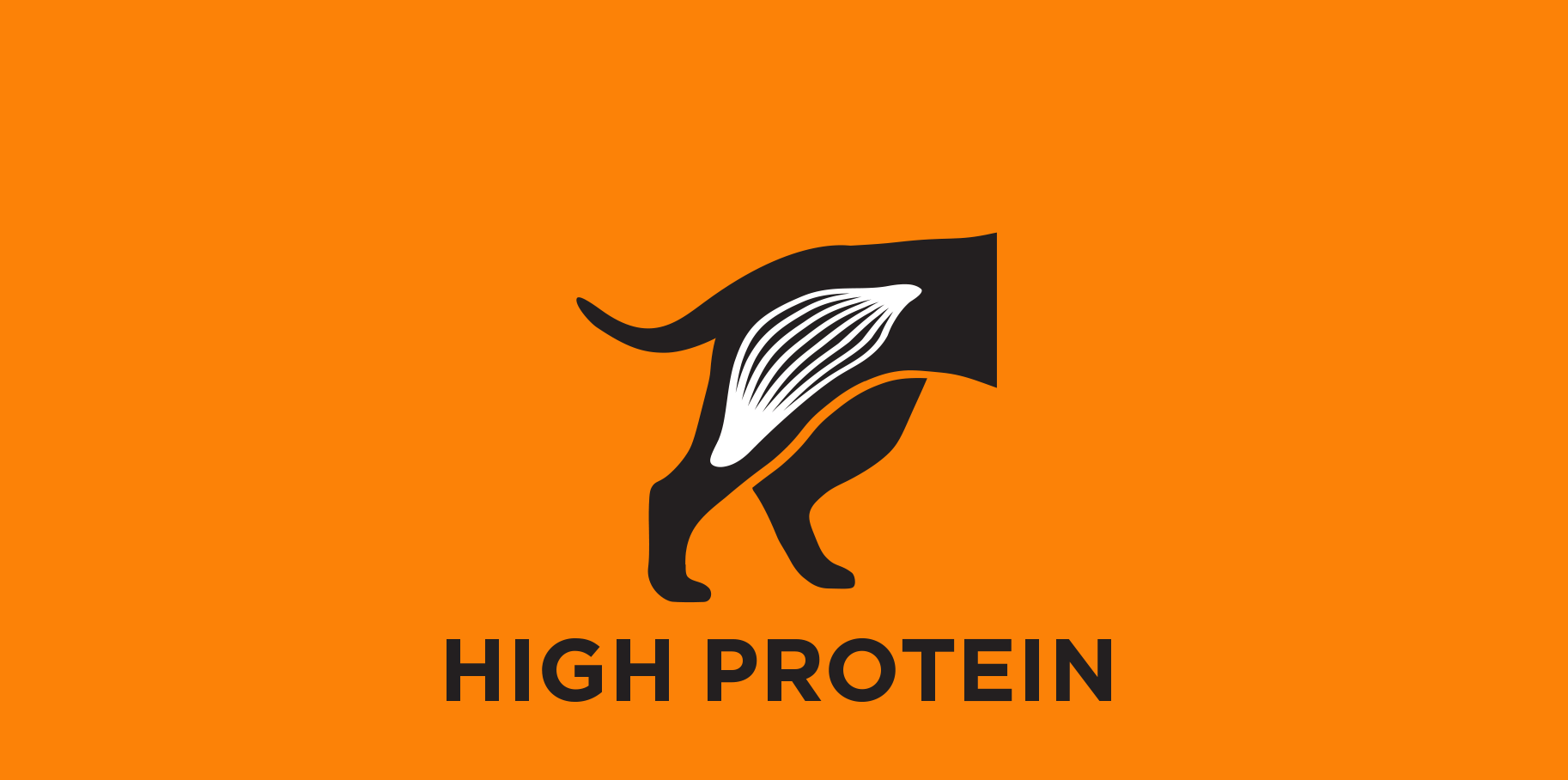 High Protein Level