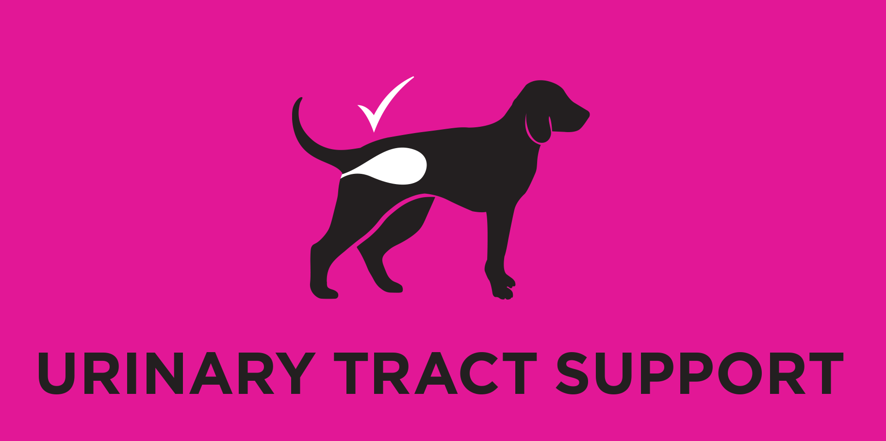 Urinary Tract Support
