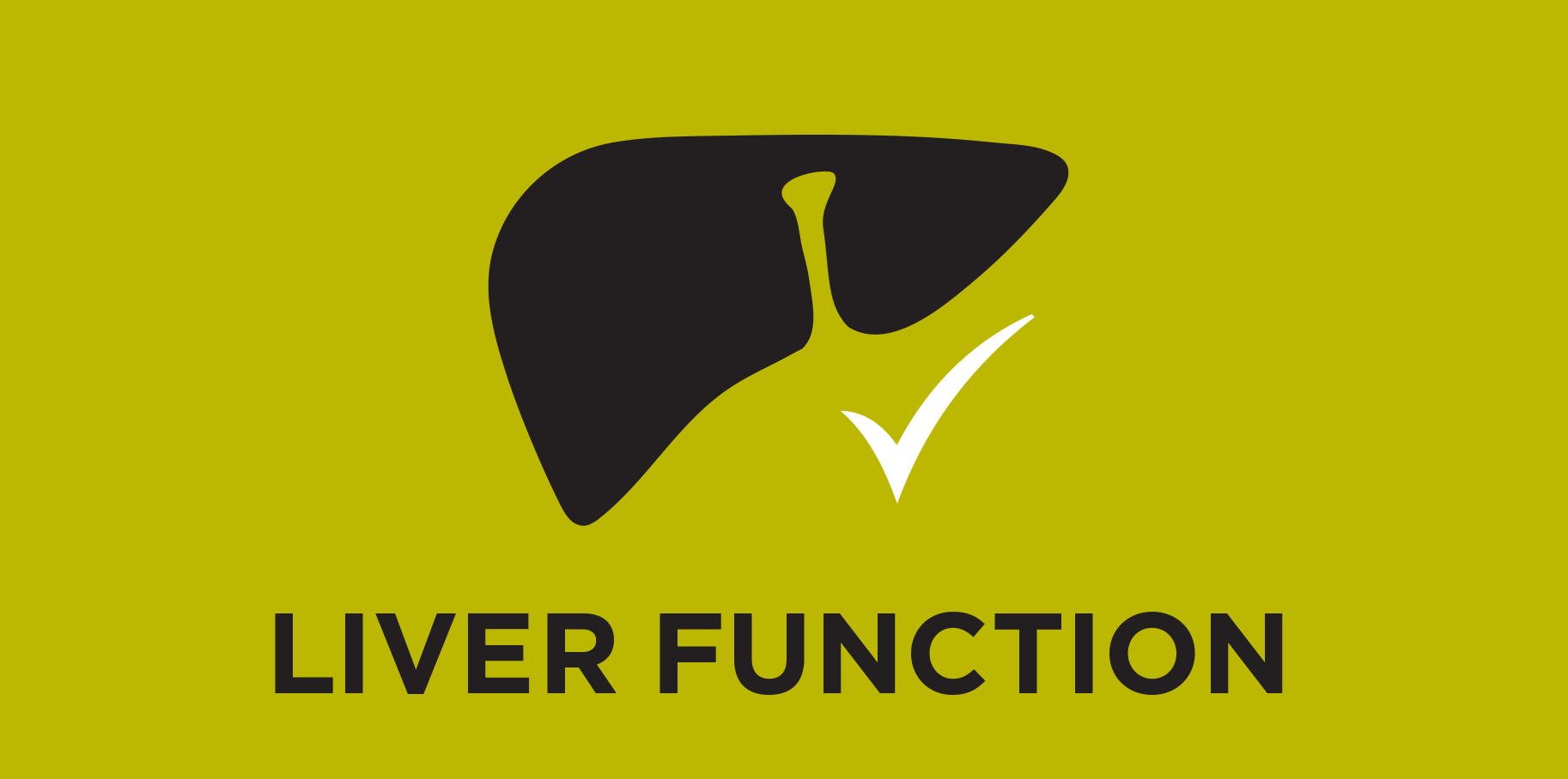 Liver Function