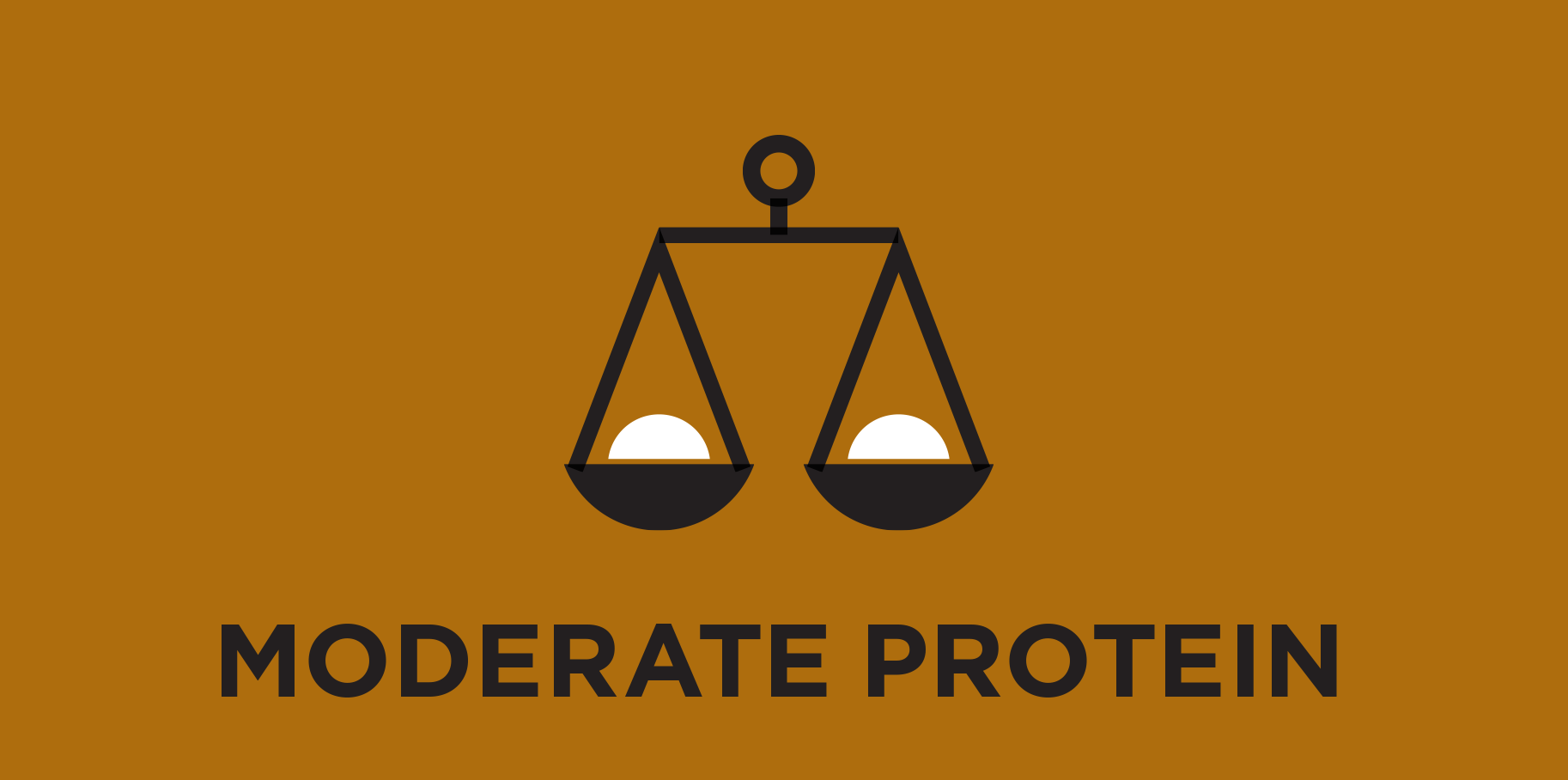 Moderate Protein Level