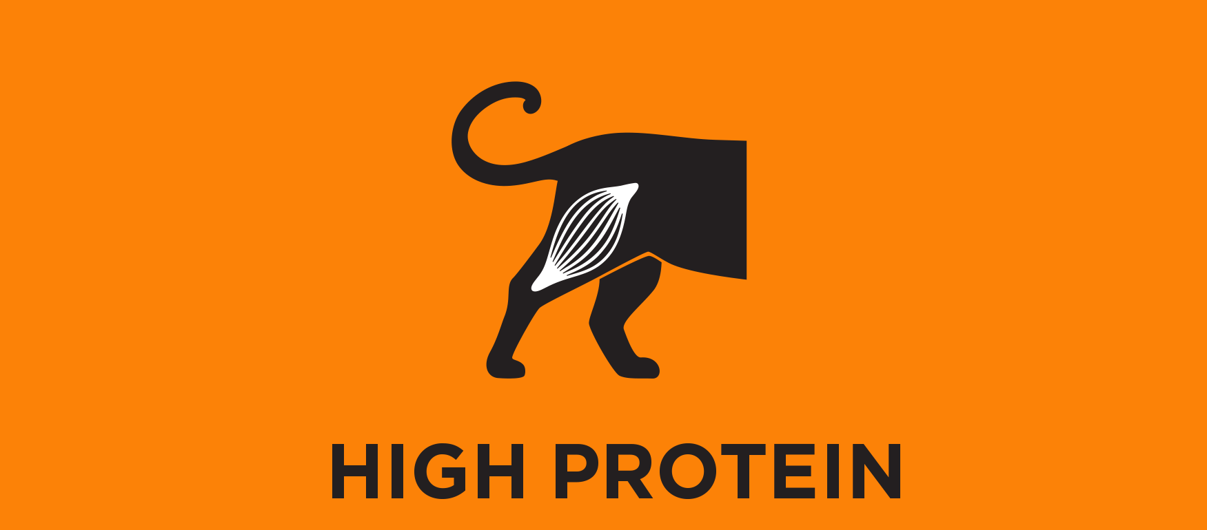 High Protein Level