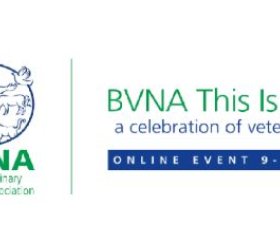 BVNA This Is Us 2020 - A celebration of veterinary nursing header image