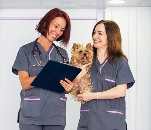 Two veterinary nurses in scrubs, one holding a clipboard and the other cradling a dog.