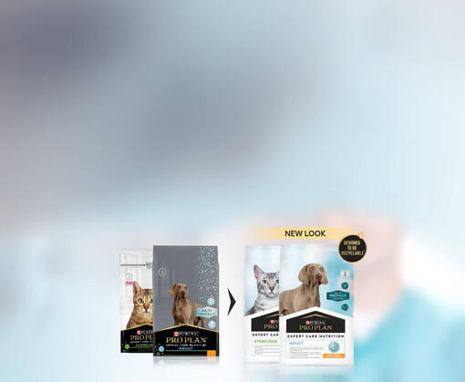 Expert Care range - new look