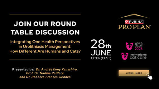 Integrating One Health Perspectives in Urolithiasis Management: How Different Are Humans and Cats?