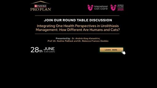 Integrating One Health Perspectives in Urolithiasis Management: How Different Are Humans and Cats?