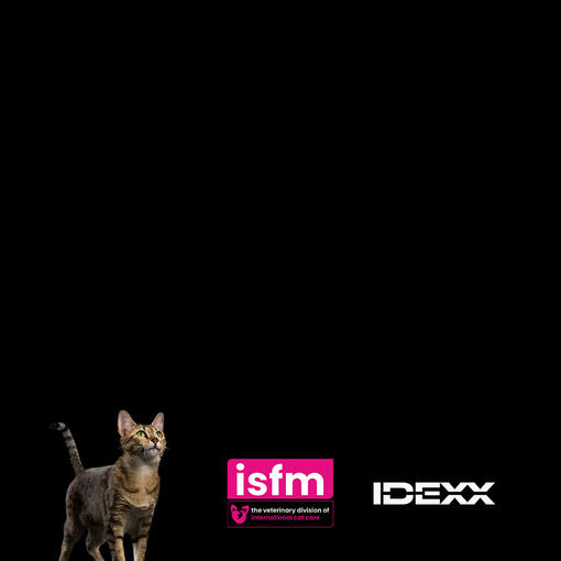 New Recording available - Suffering in Silence: Approach to Feline Chronic Triaditis