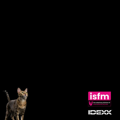 New Recording available - Suffering in Silence: Approach to Feline Chronic Triaditis