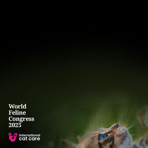 ProPlan ISFM 2025