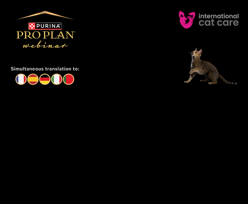 Nutritional Strategies In Feline Urolithiasis