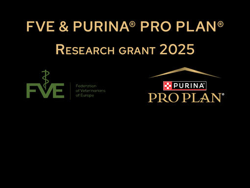 FVE Grant banner spotlight