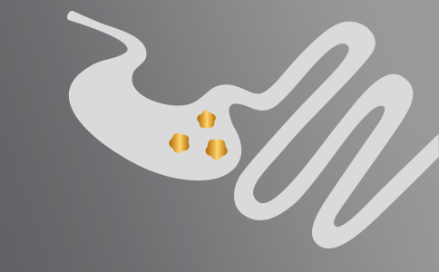 icon_gastrointestinal_health