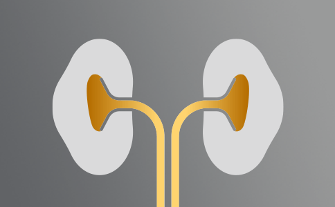 icon_renal_health