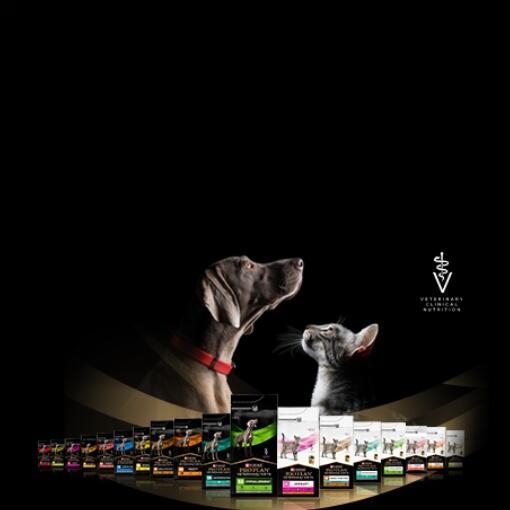 Updates to our Packaging Communication and Sustainability Commitment