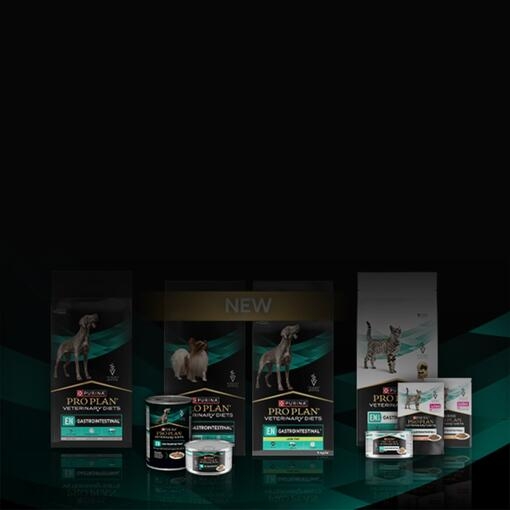 EN gastrointestinal homepage mobile