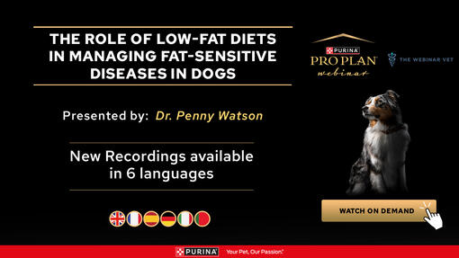 New Recording available - ROLE OF LOW-FAT DIETS IN DOGS