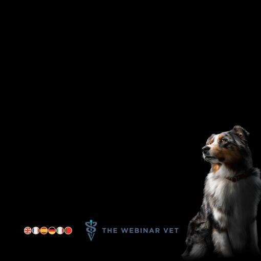 New Recording available - ROLE OF LOW-FAT DIETS IN DOGS