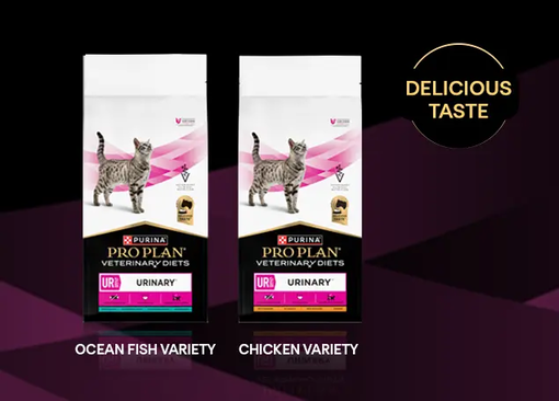 PRO PLAN® VETERINARY DIETS FELINE UR St/Ox Urinary™