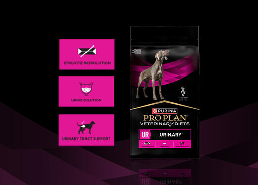 PRO PLAN® VETERINARY DIETS CANINE UR Urinary™