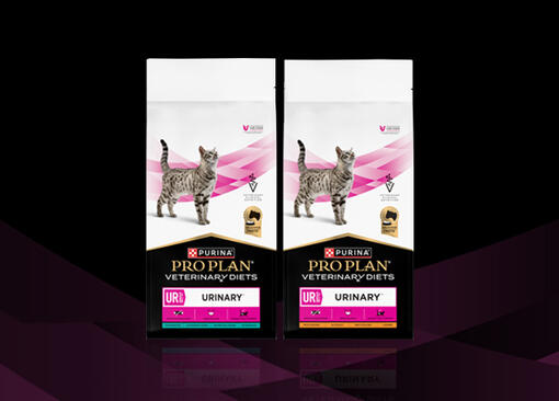 PRO PLAN® VETERINARY DIETS FELINE UR St/Ox Urinary™