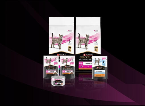 PRO PLAN® Veterinary Diets Feline UR Urinary™ and PRO PLAN® Hydra Care™