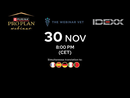 Purina Pro Plan webinar spotlight “The Gut-Brain Axis: How the Intestinal Microbiome Influences Behaviour,” with event date